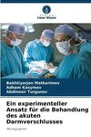 Ein experimenteller Ansatz für die Behandlung des akuten Darmverschlusses