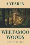 A Year in Weetamoo Woods