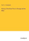 History of the Great Fires in Chicago and the West