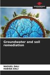 Groundwater and soil remediation