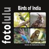 Birds of India