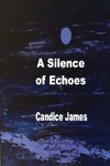 A Silence Of Echoes