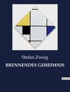 BRENNENDES GEHEIMNIS