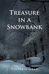 Treasure in a Snowbank