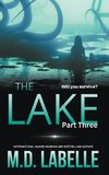 The Lake Part Three
