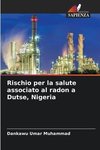 Rischio per la salute associato al radon a Dutse, Nigeria