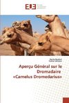 Aperçu Général sur le Dromadaire 'Camelus Dromedarius'