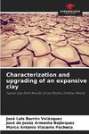Characterization and upgrading of an expansive clay