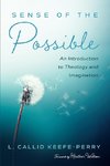 Sense of the Possible