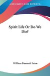 Spirit Life Or Do We Die?