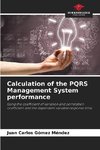 Calculation of the PQRS Management System performance
