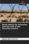 What status for Palestine and the role of the Security Council
