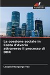 La coesione sociale in Costa d'Avorio attraverso il processo di DDR
