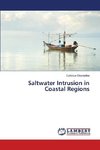 Saltwater Intrusion in Coastal Regions