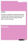 The Above and Below Ground Biomass and Carbon Stock Estimation Options for Trees and Forest Resources in Mago National Park, Southern Ethiopia