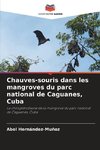Chauves-souris dans les mangroves du parc national de Caguanes, Cuba