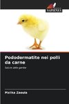 Pododermatite nei polli da carne