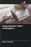 Degradazione della candeggina