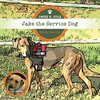 Jake the Service Dog