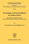 Morphologie und Metamorphosen des Dritten Sektors.