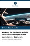 Wirkung der Stoßwelle auf die Wiedereintrittskapsel durch Variation der Geometrie