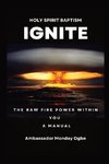 Ignite the Raw Fire Power Within You - Holy Spirit Baptism Manual