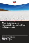 Mini examen des nanoparticules de silice mésoporeuse
