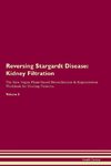 Reversing Stargardt Disease