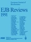 EJB Reviews 1991