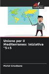 Unione per il Mediterraneo: iniziativa 