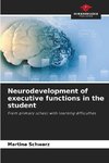 Neurodevelopment of executive functions in the student