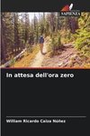 In attesa dell'ora zero
