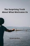 The Surprising Truth About What Motivates Us