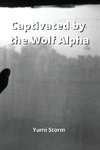 Captivated by the Wolf Alpha