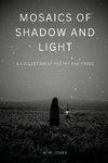 Mosaics of Shadow and Light