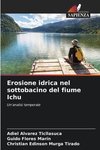 Erosione idrica nel sottobacino del fiume Ichu