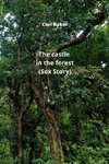 The castle in the forest  (Sex Story)
