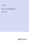 The Last of the Plainsmen