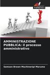 AMMINISTRAZIONE PUBBLICA: il processo amministrativo