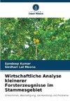 Wirtschaftliche Analyse kleinerer Forsterzeugnisse im Stammesgebiet
