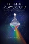 Ecstatic Playground