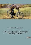 The Boy Scouts Through the Big Timber
