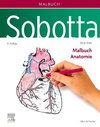 Sobotta Malbuch Anatomie