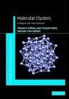 Fehlner, T: Molecular Clusters