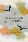 A Collection of Limericks