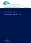 Statelessness in Public Law