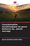 Caractérisation morphologique du genre Bomarea sp., plante sauvage