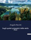 Sugli spettri prismatici delle stelle fisse