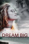 Dream Big - the Sabela Series Book Eight