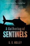 A Gathering of Sentinels
